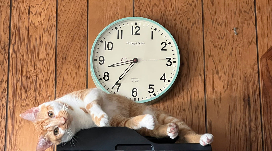 Is Your Pet Ready for the Time Change? How to Help Them Adjust Smoothly