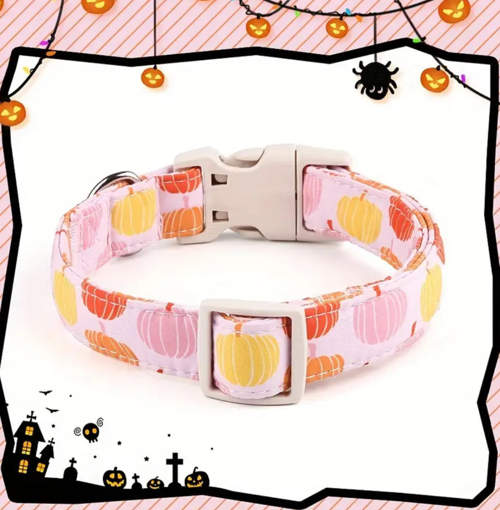 Dog collar with pumpkin pattern on a white background