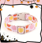 Dog collar with pumpkin pattern on a white background