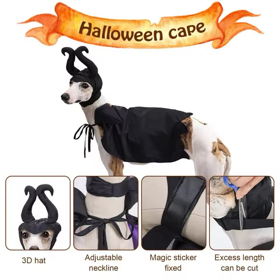 Dog wearing a black Halloween cape with accessories, including a 3D hat and adjustable neckline, on a white background.