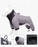 Dog coat on a mannequin with close-up insets showing details, on a white background