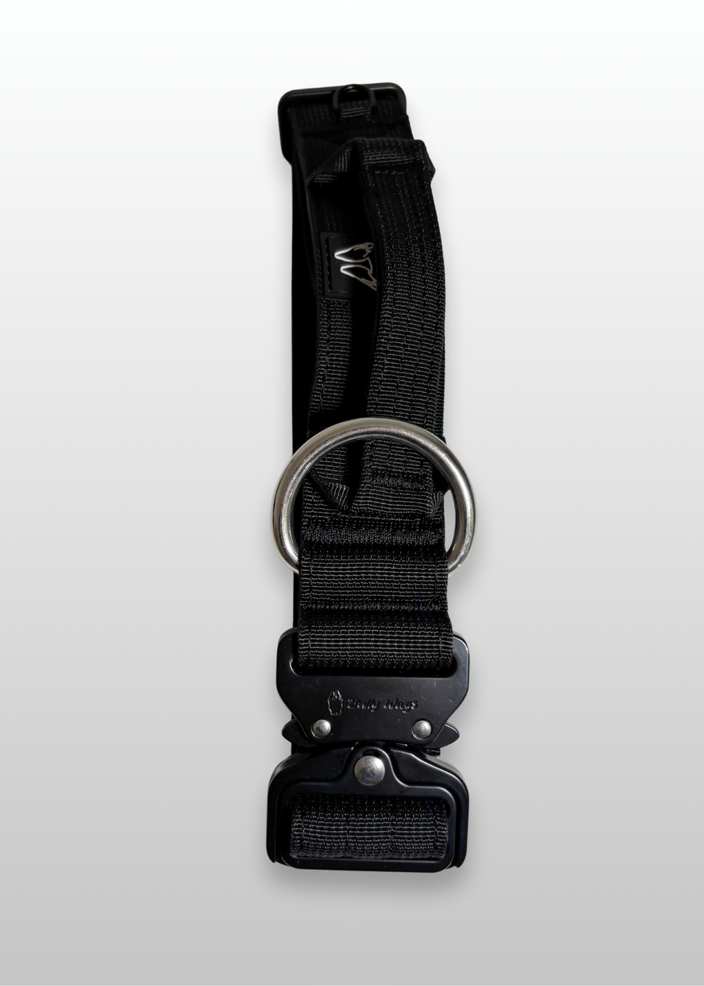 Black dog collar with metal buckle on a light gray background