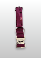 Cherry Wine dog collar with gold hardware on a light gray background