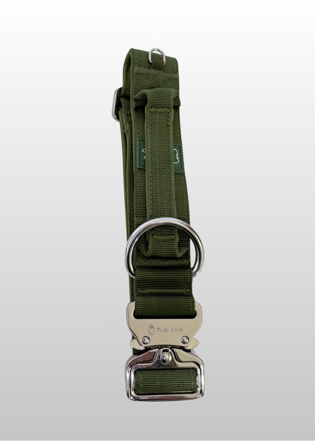 Green dog collar with metal buckle on a white background