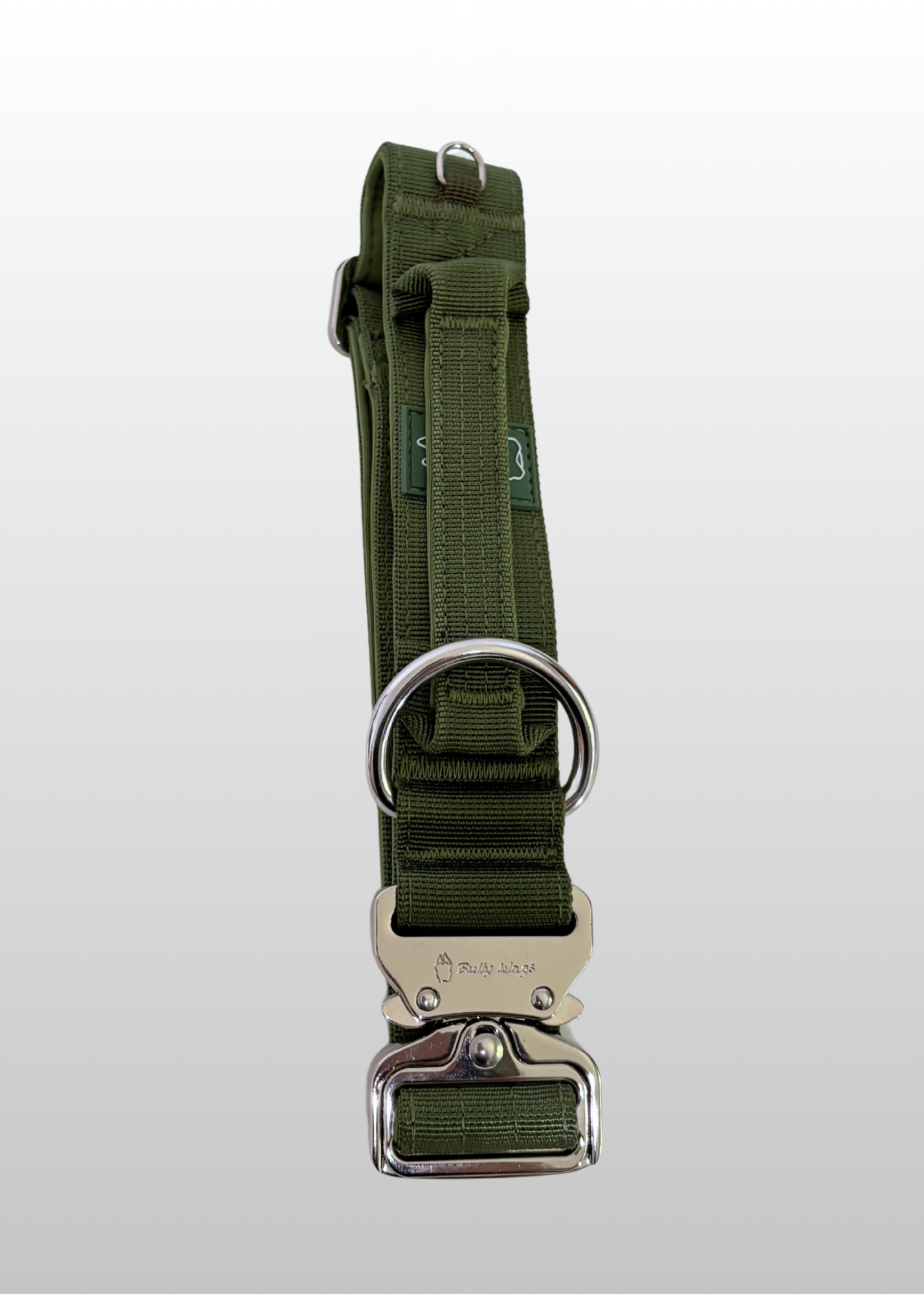 Green dog collar with metal buckle on a white background