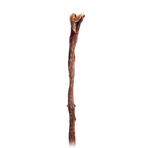 Single brown lamb gullet stick on a white background
