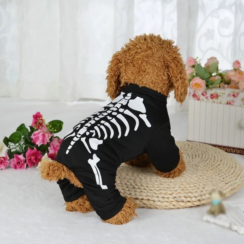Dog wearing a black skeleton costume with a white curtain and flowers in the background