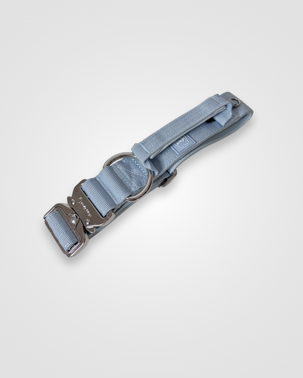Dog collar with metallic buckle on a light gray background