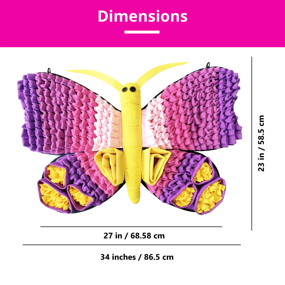 Colorful butterfly toy with dimensions displayed on a white background