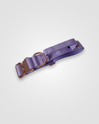 Purple dog collar with brown leather accents on a light gray background