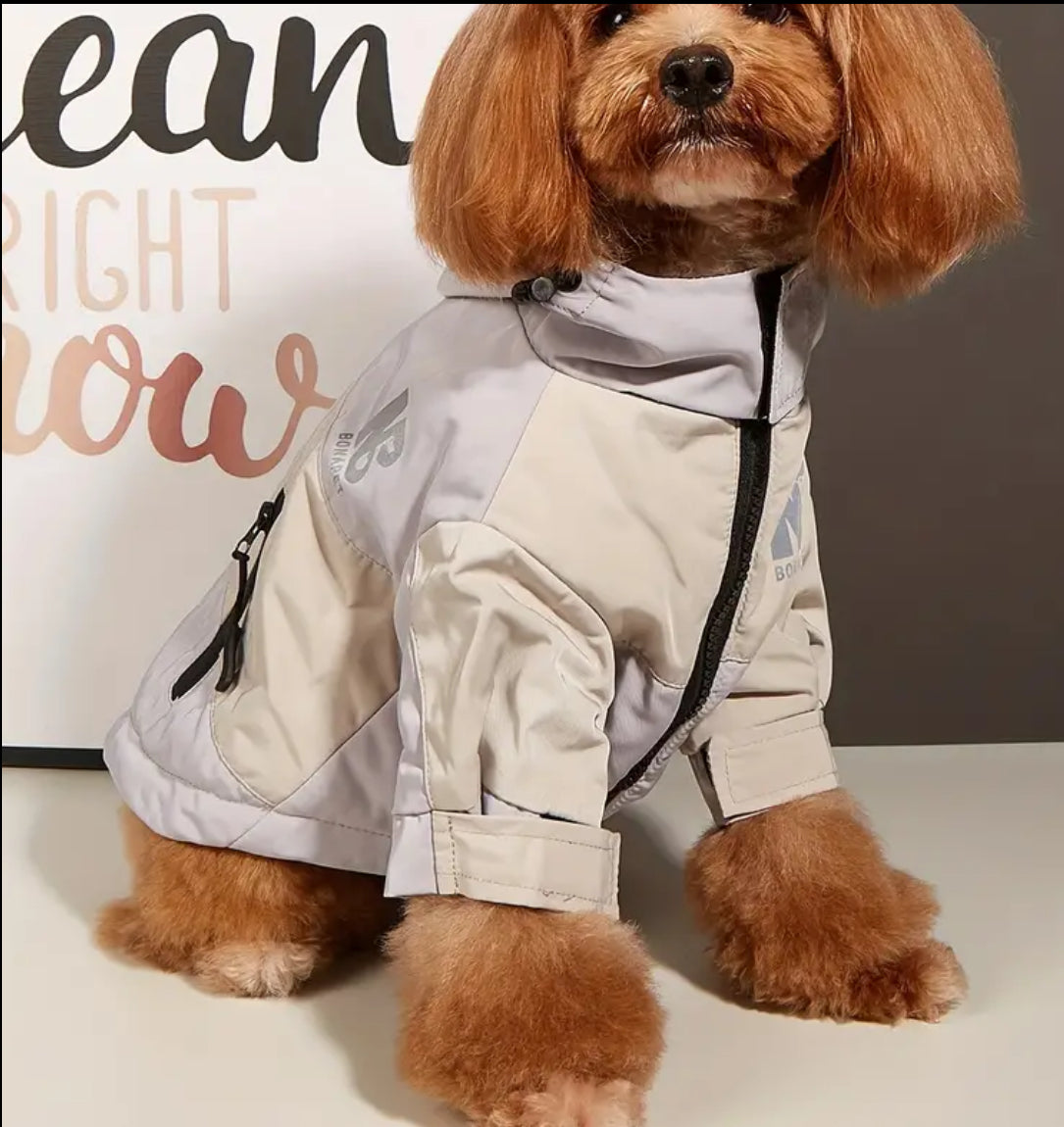 Small dog wearing a light-colored jacket with a brand logo, sitting on a white surface.