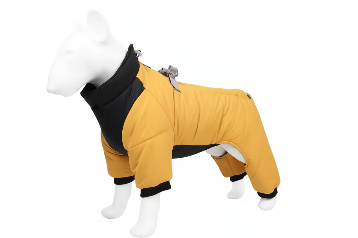 Yellow dog coat with black trim on a mannequin against a white background