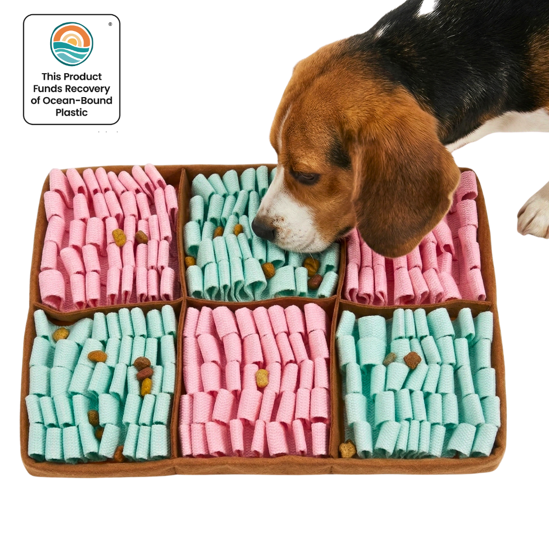 Dog interacting with a tray of pink and green dog treats, with a visible brand logo in the corner.