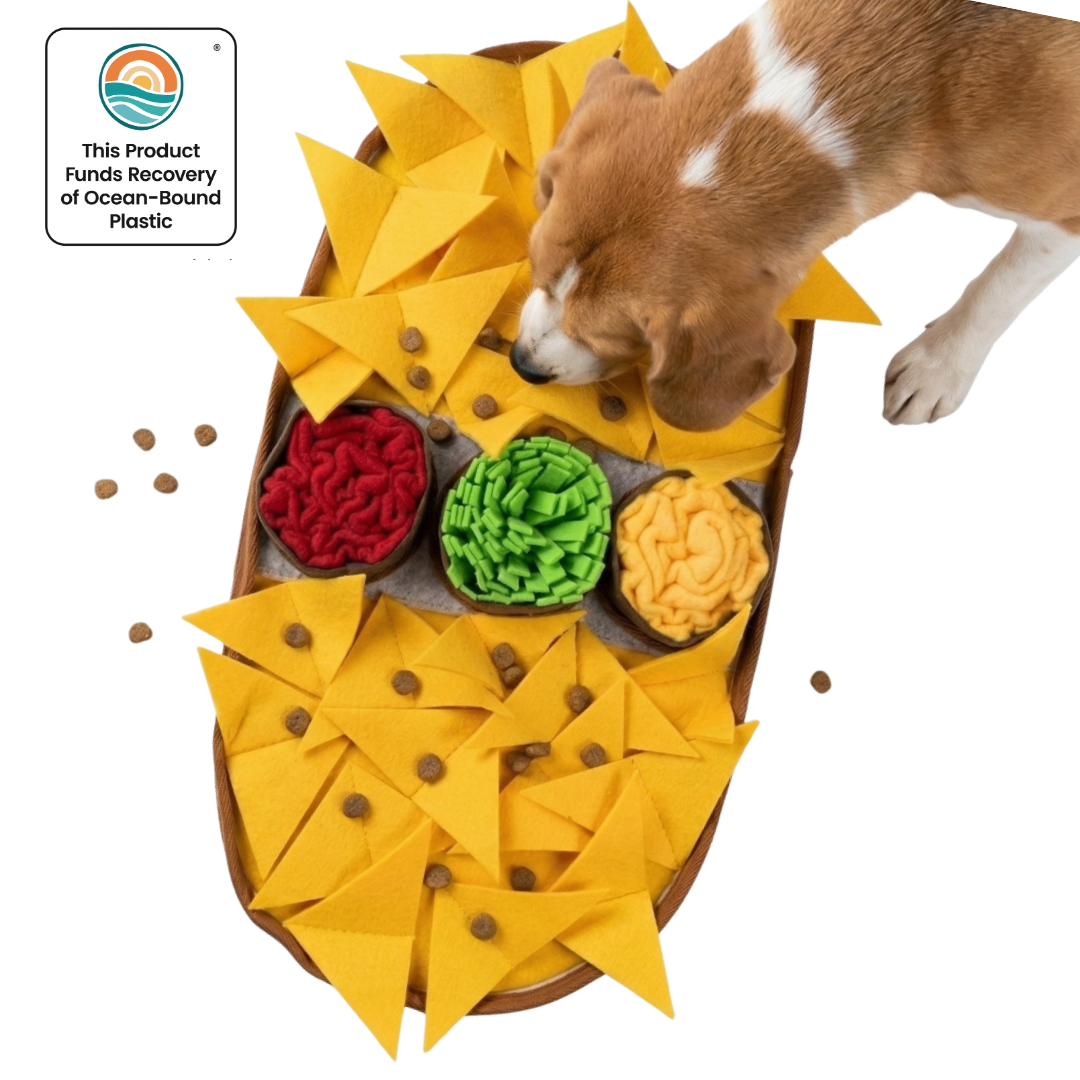 Dog interacting with a colorful dog toy shaped like a taco with various textures.