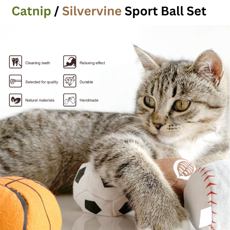 Cat playing with a sports ball set on a white background, with Catwant branding.