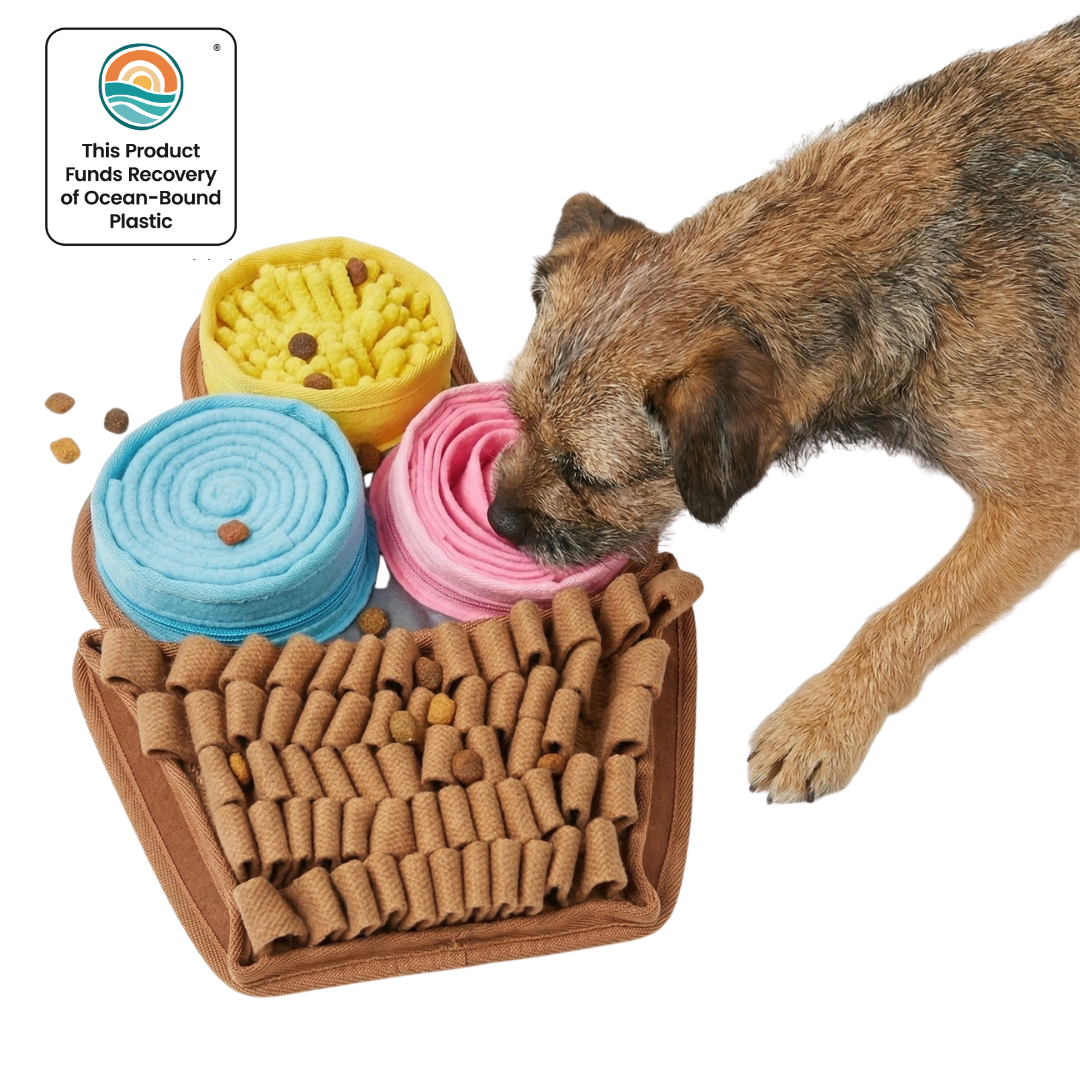 Dog playing with a colorful dog toy made from recycled ocean-bound plastic.
