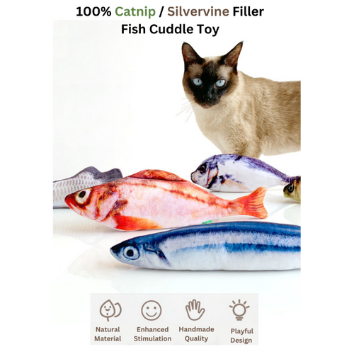 Catnip and silvervine filler fish cuddle toy with a cat on a white background