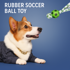 Dog in a suit looking at a green rubber soccer ball toy against a blue background