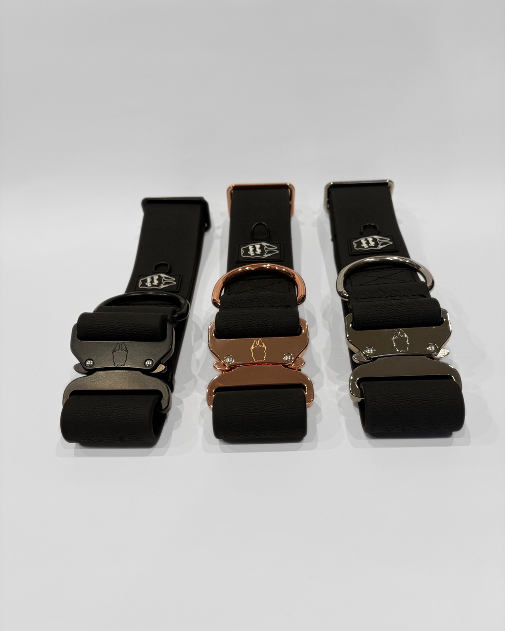 Three dog collars with buckles on a white background