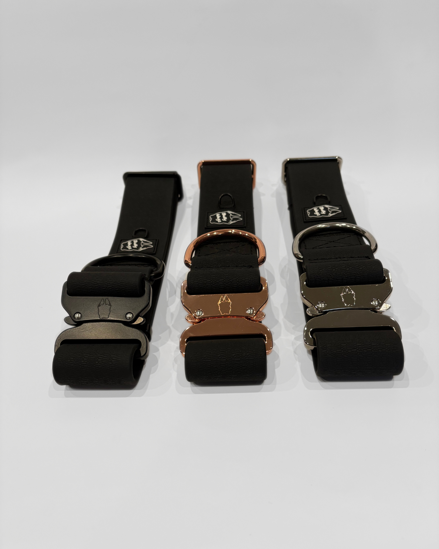 Three dog collars with buckles on a white background