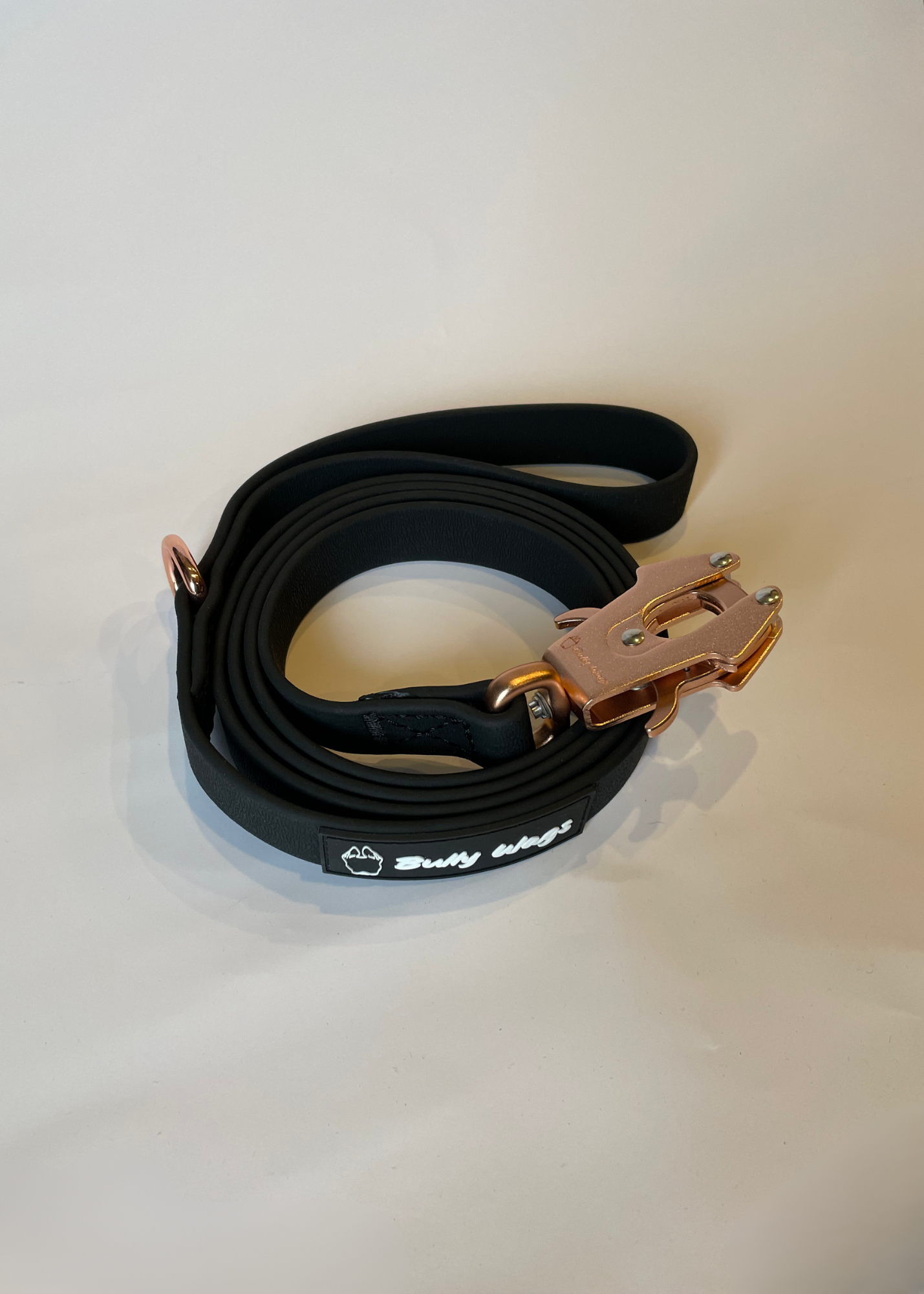 Black dog leash with a gold clip on a light gray background