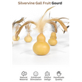 Cat toy with gourd and feathers labeled 'Catwant' on a white background