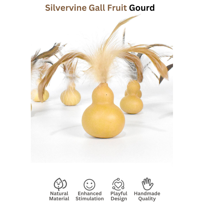 Cat toy with gourd and feathers labeled 'Catwant' on a white background