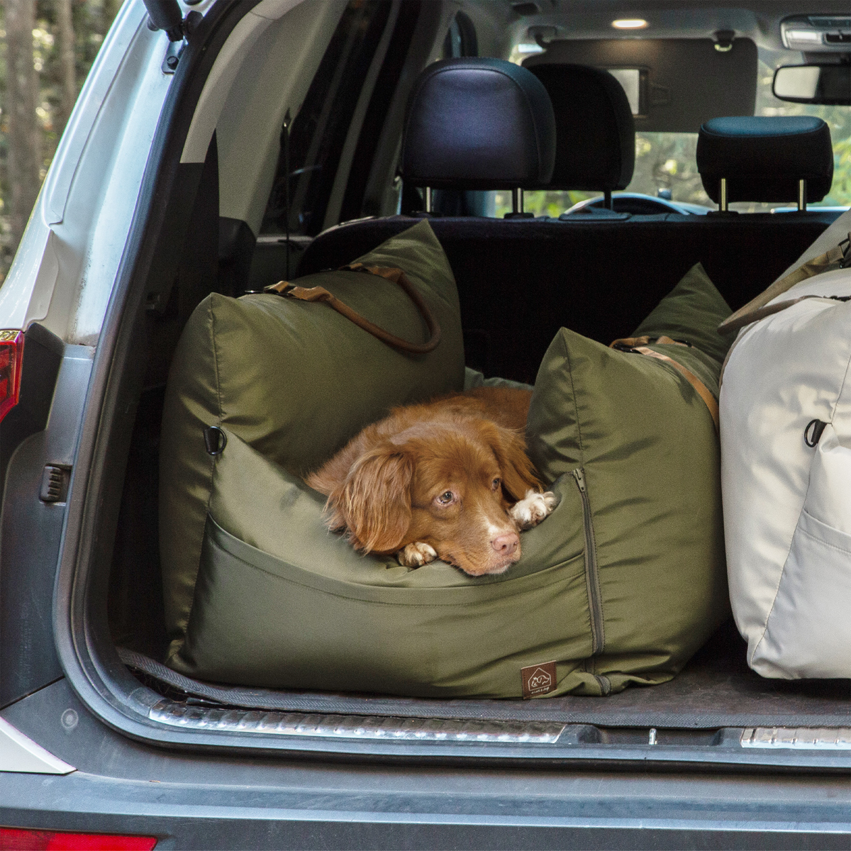 Dog lying on a green pet bed in the back of a vehicle