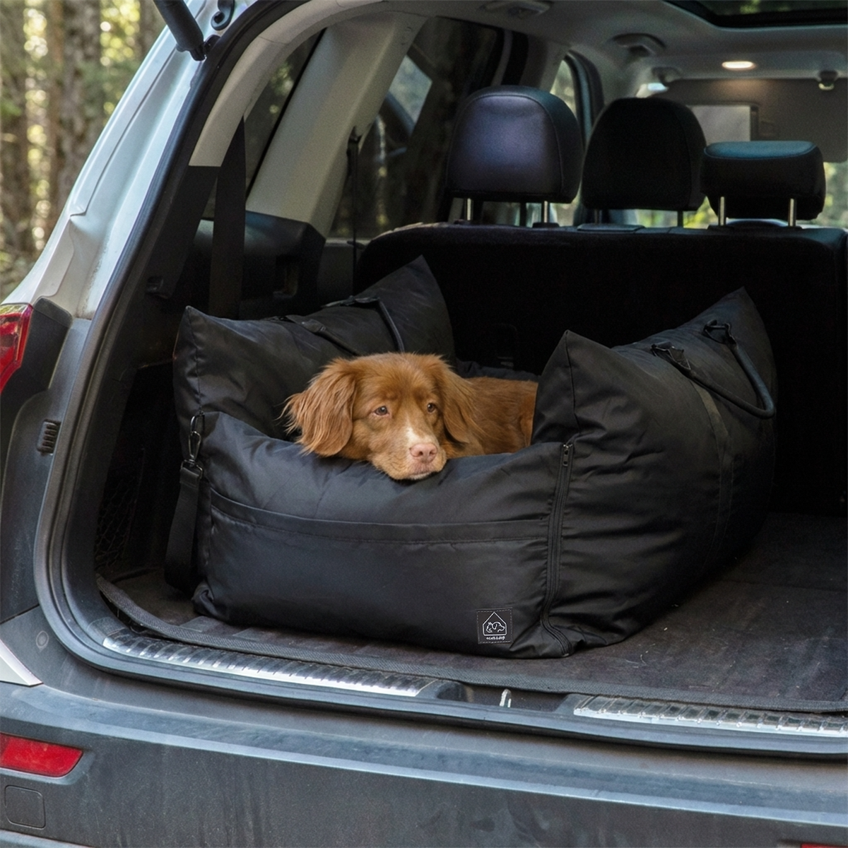 Dog lying in a black pet bed inside an open car trunk.