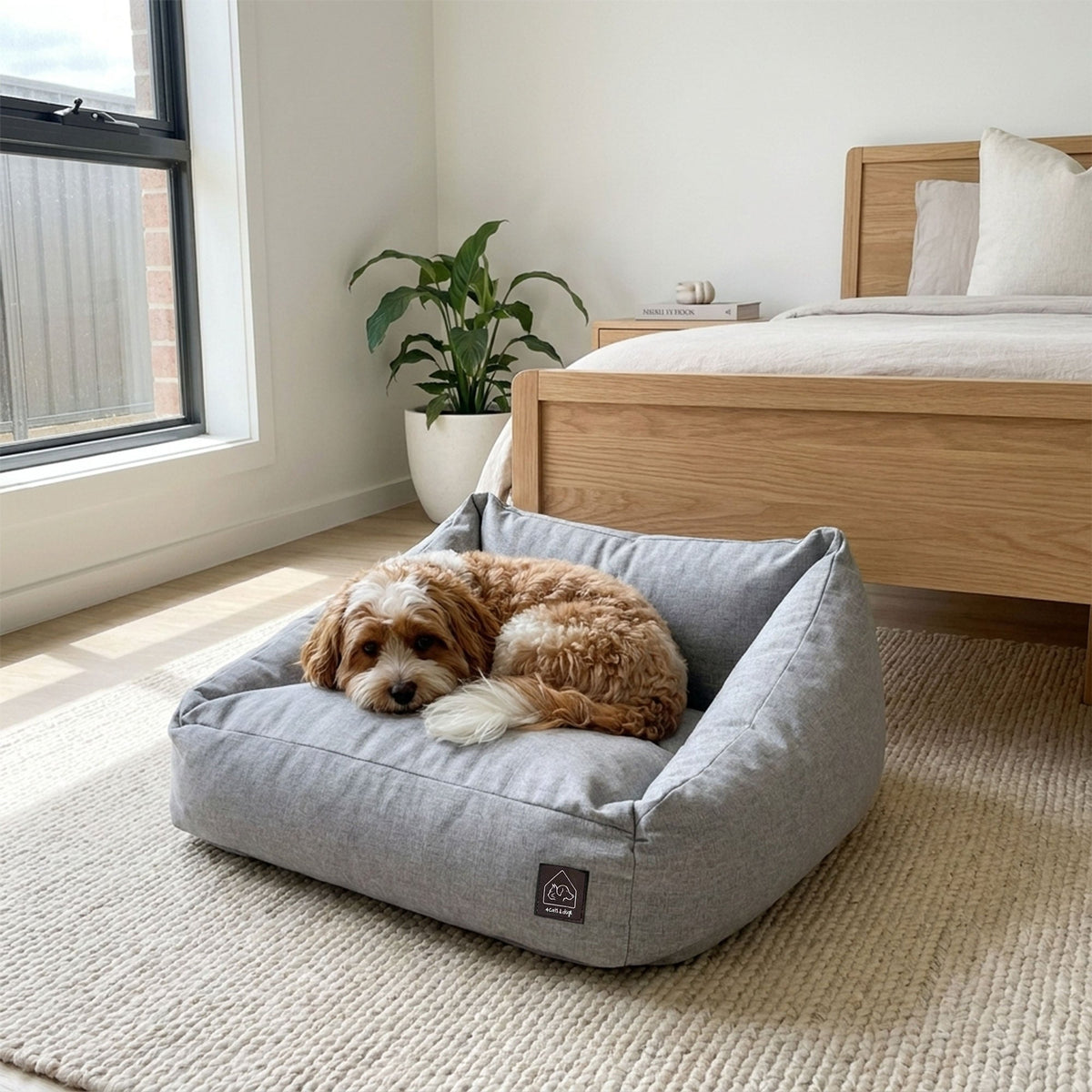 Dog lying on a gray pet bed in a bedroom with a wooden bed and plant in the background.
