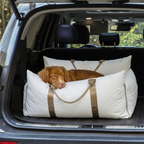 Dog lying on a portable pet bed in the back of a car