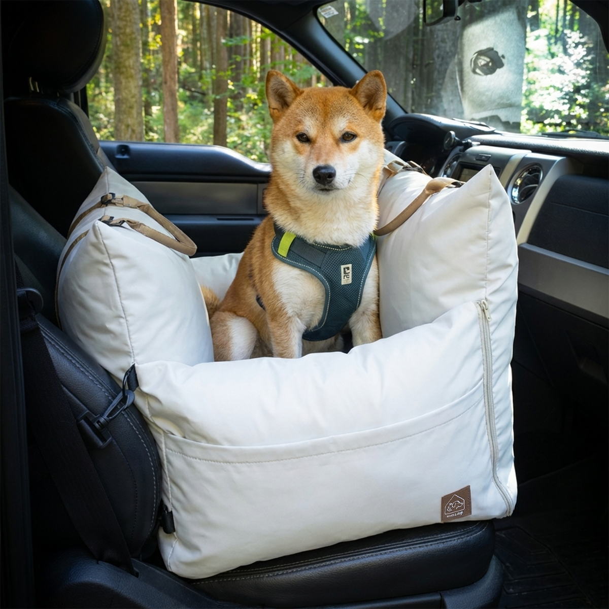 Dog sitting in a white pet seat in a car with a forest background