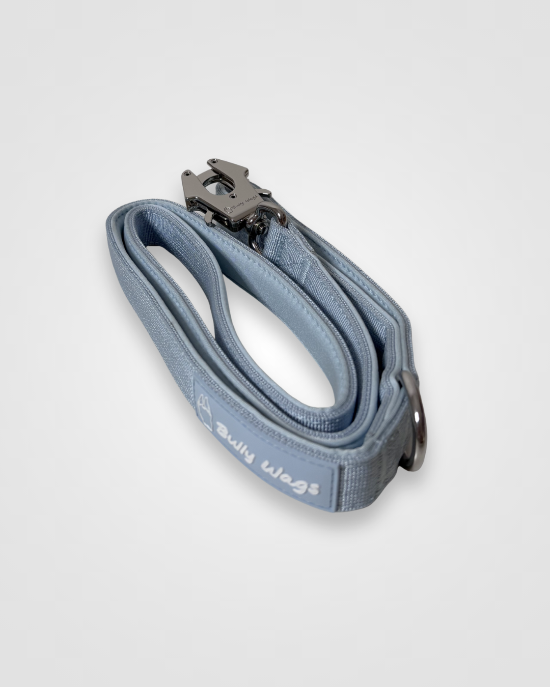 Blue dog leash with a metal clip on a light gray background