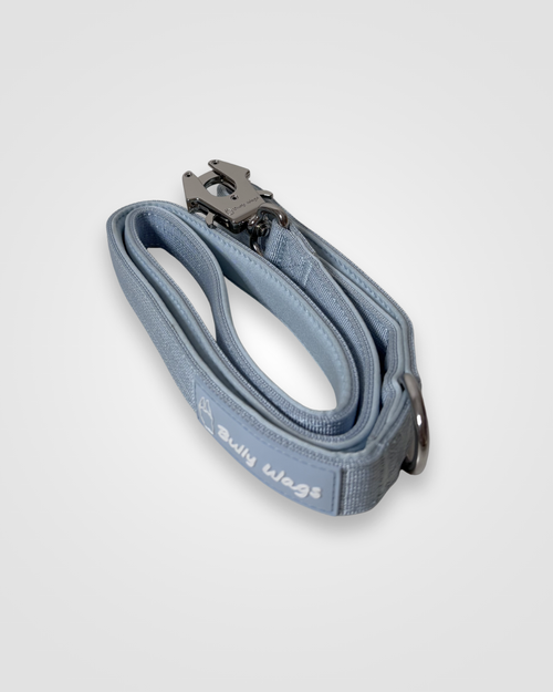 Blue dog leash with a metal clip on a light gray background