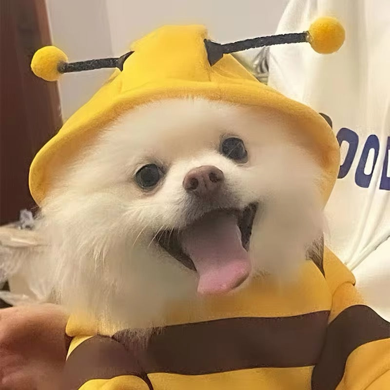 Dog wearing a bee costume with a happy expression