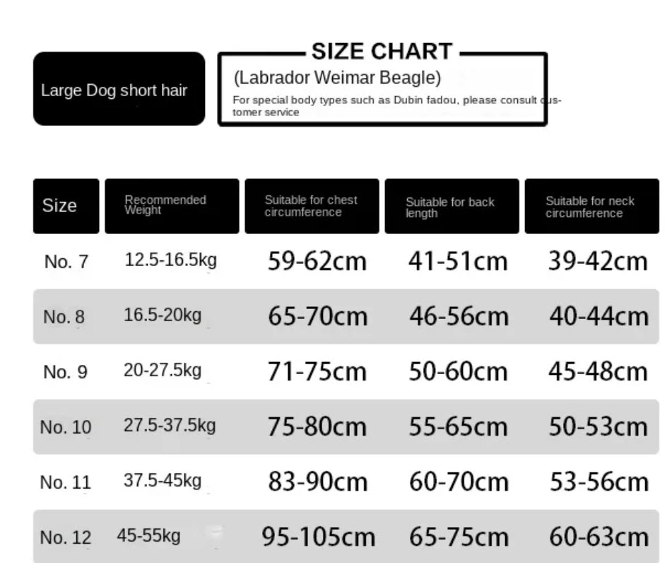 Size chart for large dogs with short hair, including measurements for chest circumference, back length, and neck circumference.