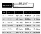 Size chart for large dogs with short hair, including measurements for chest circumference, back length, and neck circumference.