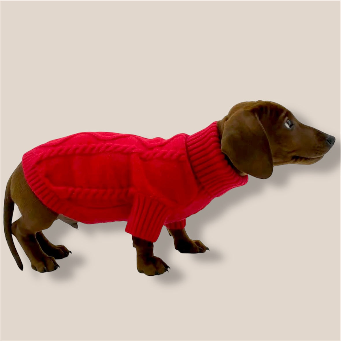 Dog wearing a red sweater on a beige background