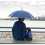 Person and dog sitting under a blue umbrella by a waterfront with a city skyline in the background.