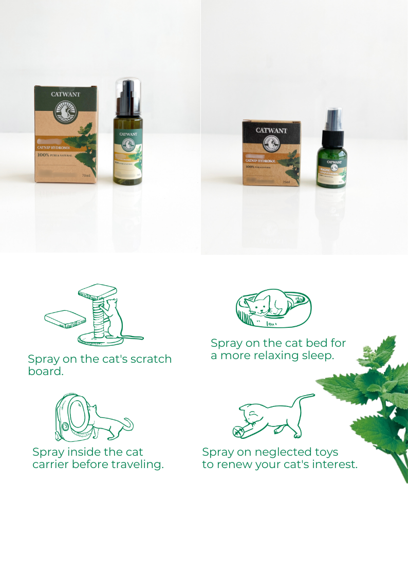 Catnip spray and packaging with usage instructions on a white background