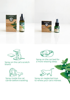 Catnip spray and packaging with usage instructions on a white background