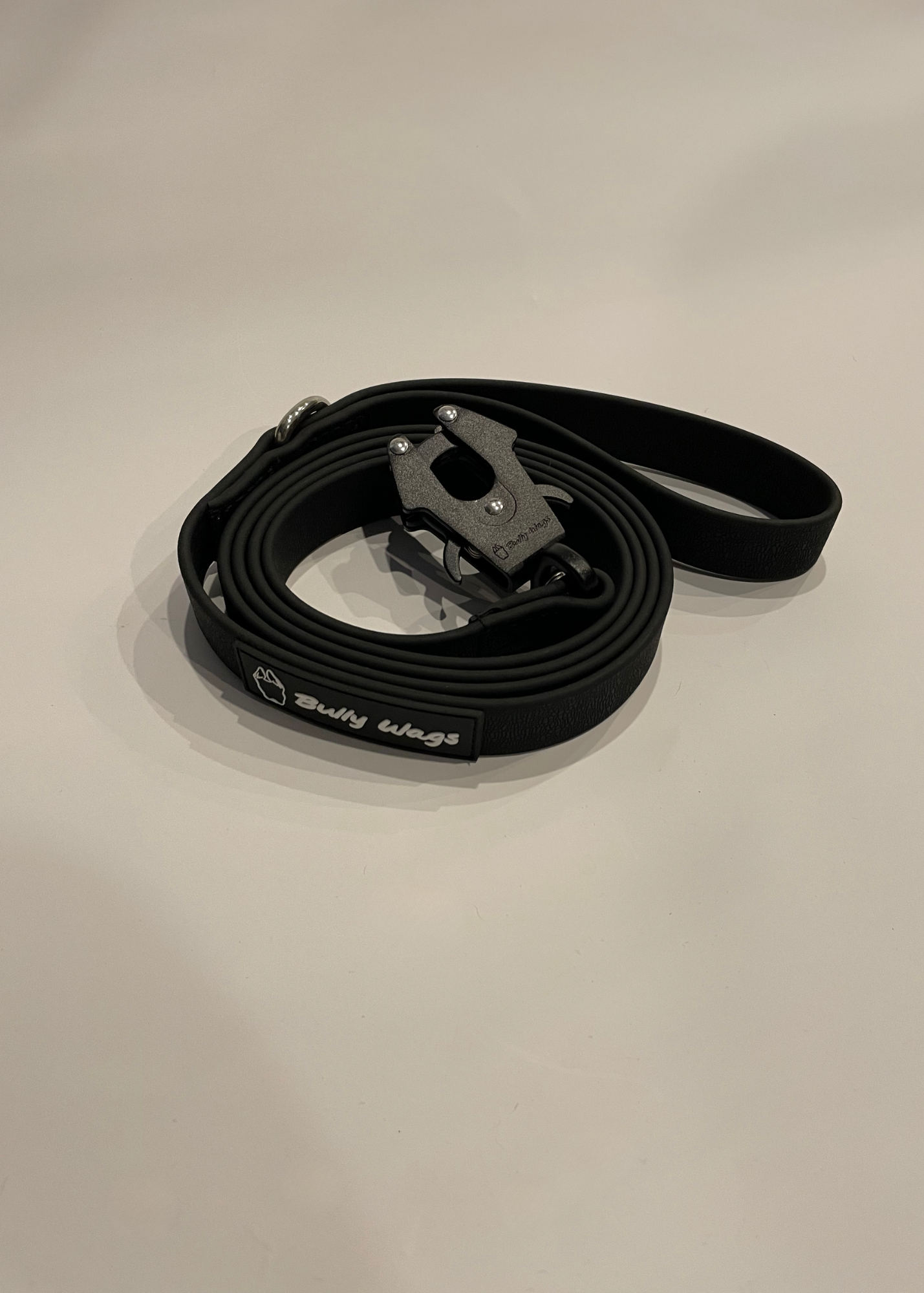 Black dog leash with metal clip on a beige background