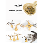 Gourd seeds and silvervine gall fruits with a cat interacting with the product.