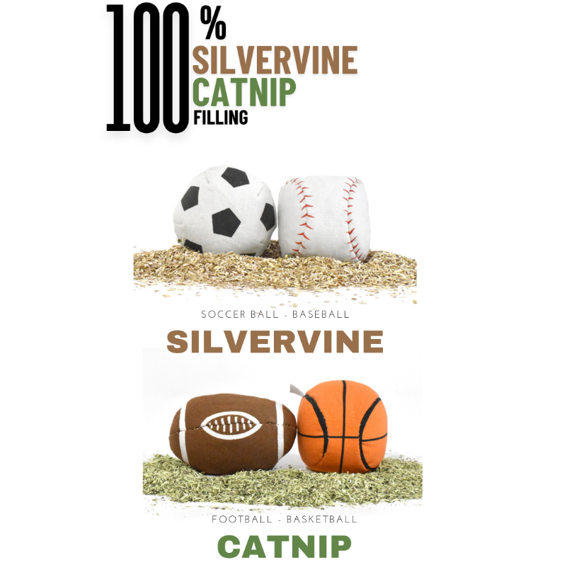 Catnip toys shaped like a soccer ball, baseball, football, and basketball on a white background with 'Silvervine' branding.