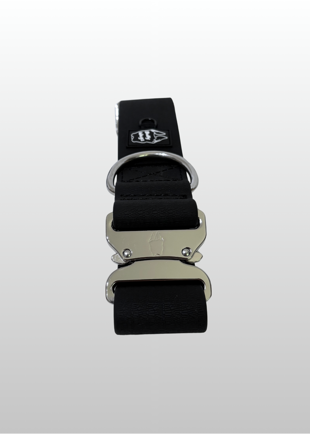 Black dog collar with silver buckle on a light gray background