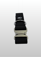 Black dog collar with silver buckle on a light gray background