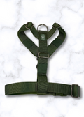 Green dog harness on a white marble background