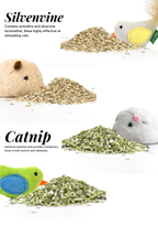 Catnip and silvenvine with cat toys on a white background