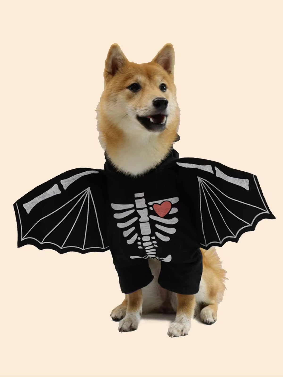 Dog wearing a black bat costume with skeleton design on a beige background