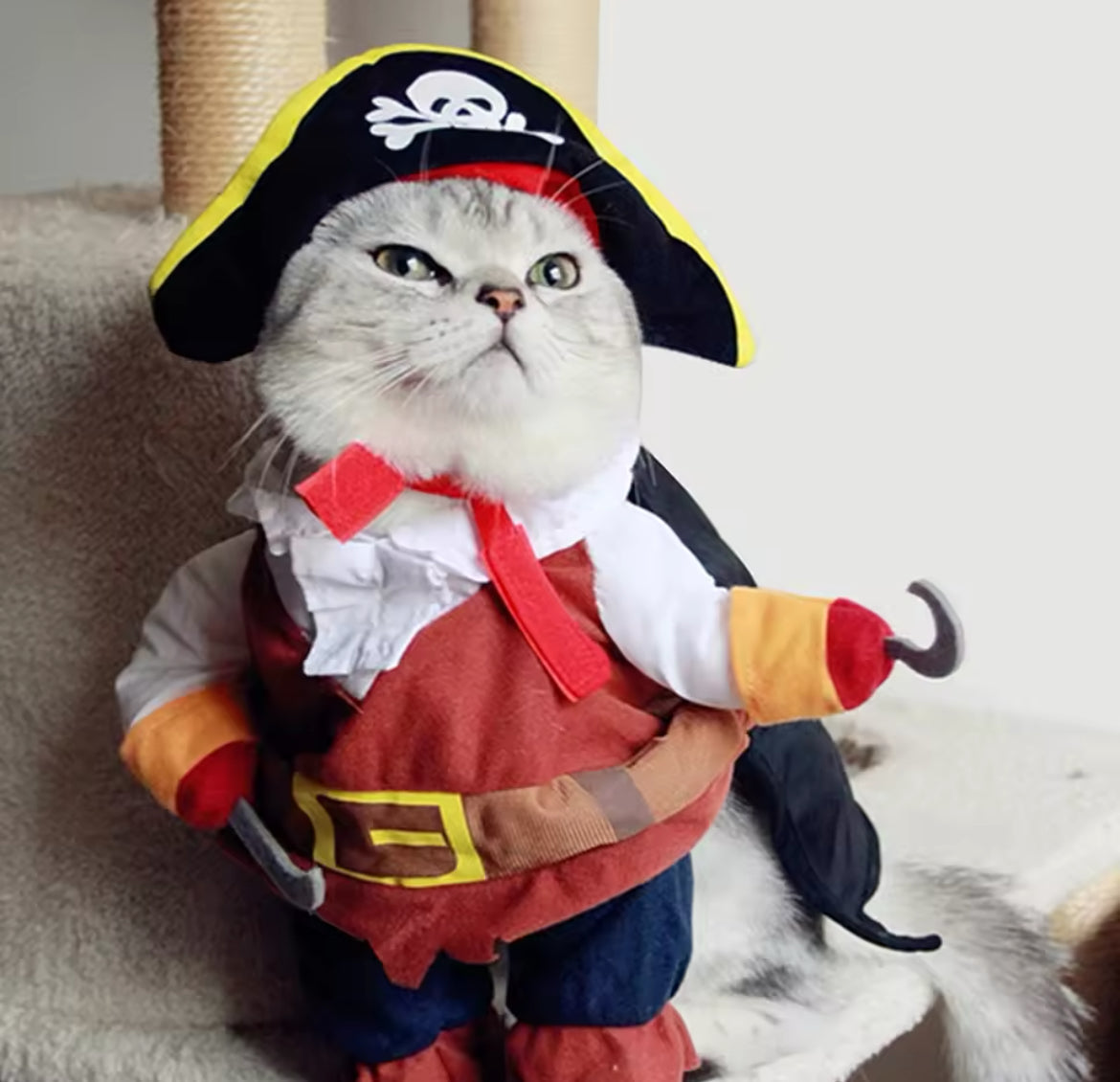 Cat wearing a pirate costume with a hook on a white background